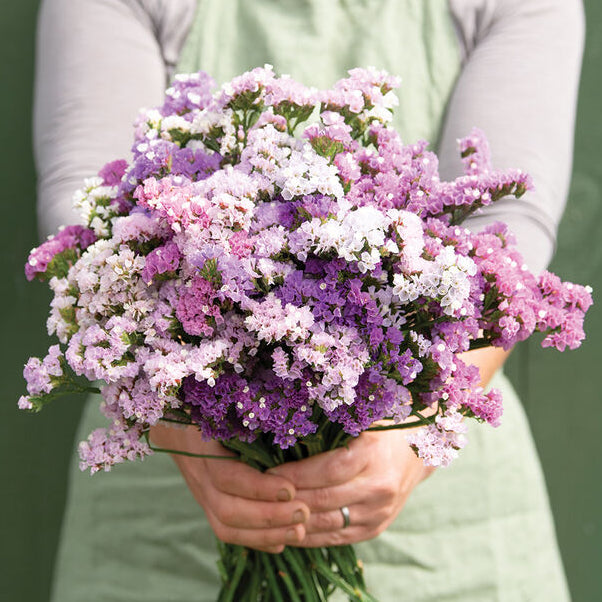 Risp ´Pastel Shades´