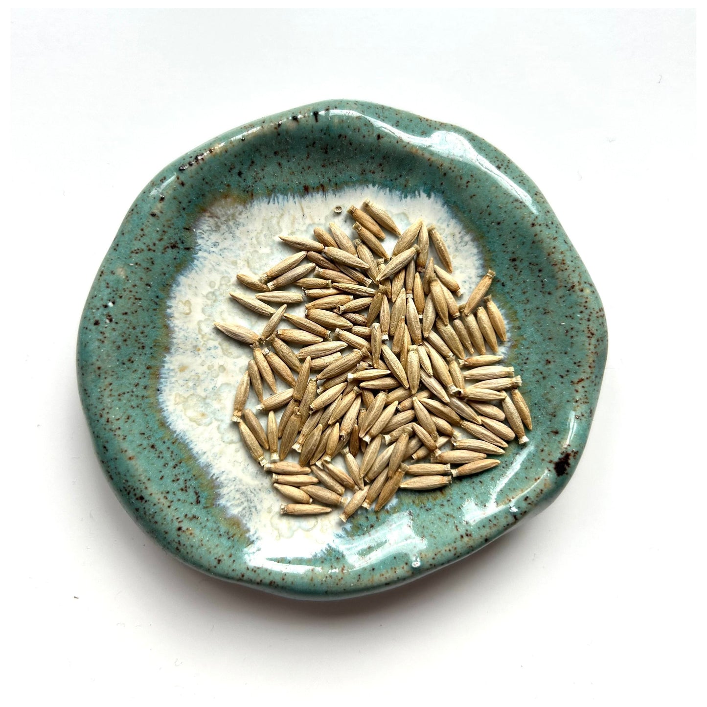 Blå bolltistel ´Blue Glow’