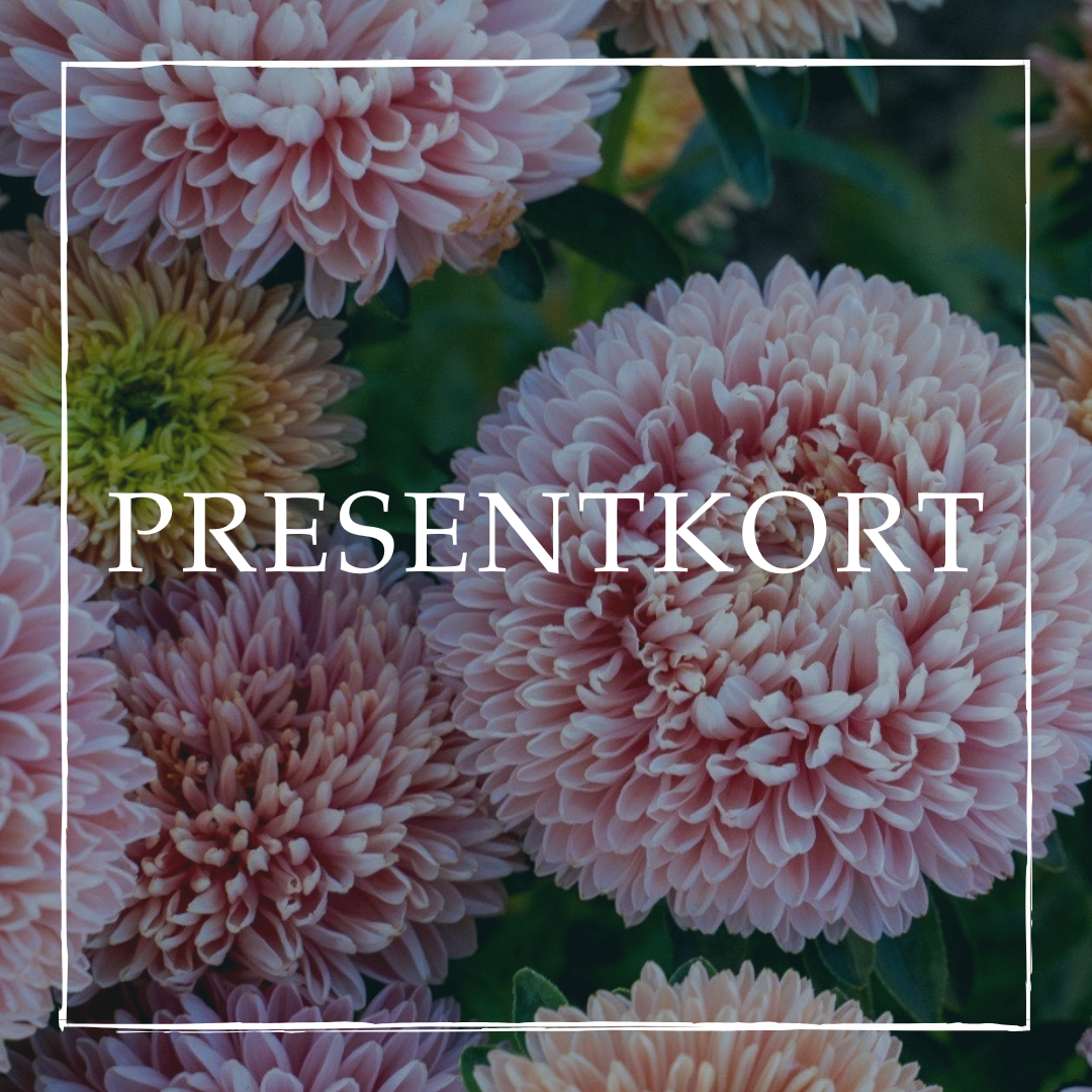 Presentkort