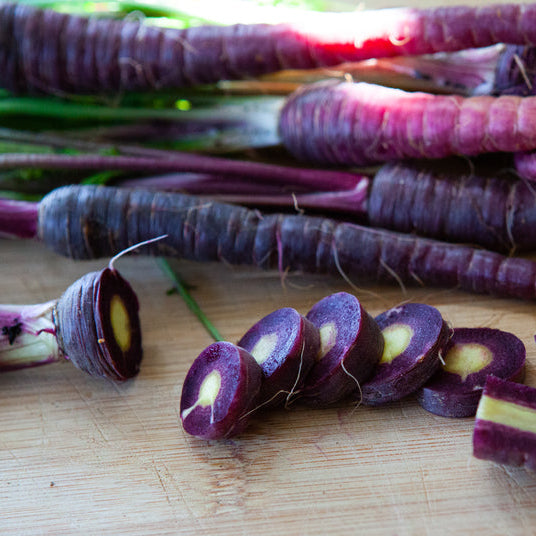 Sommarmorot ´Deep Purple´ F1