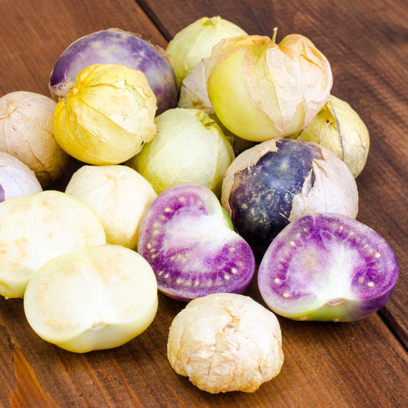 Tomatillo, lila ´De Milpa´