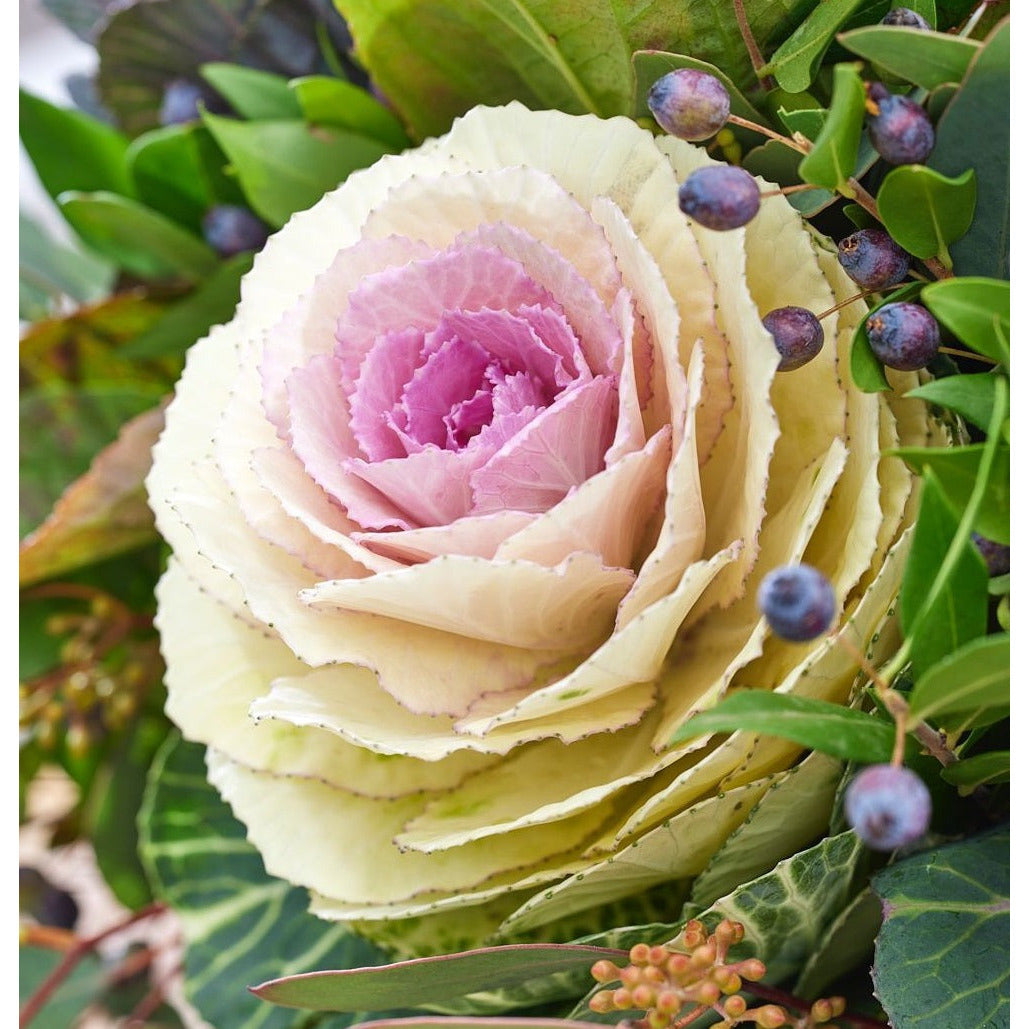 Prydnadskål ´Condor White´ F1