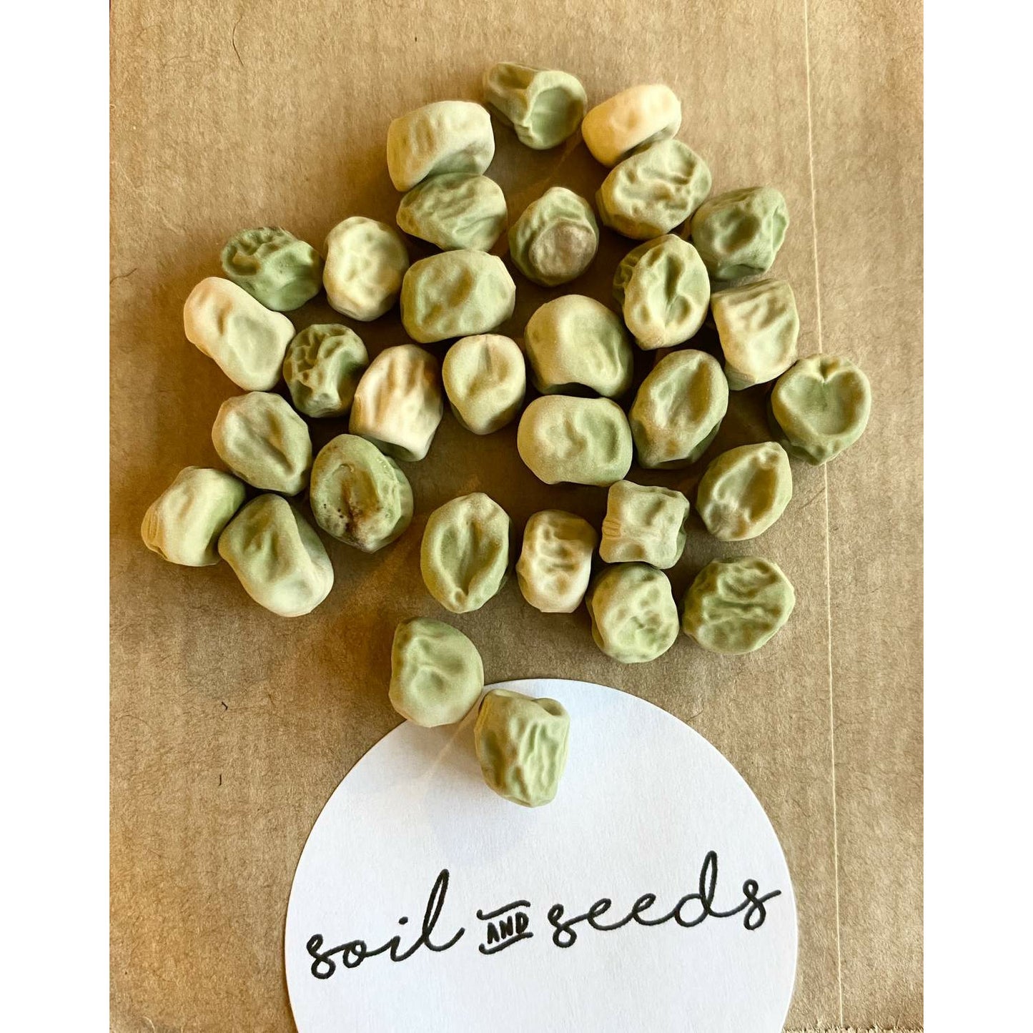 Sockerärt ´Norli´