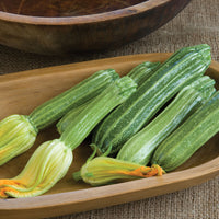 Sommarsquash ´Costata Romanesco´