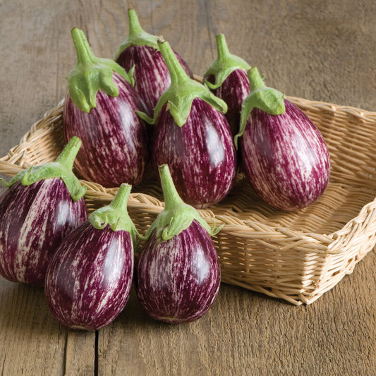 Aubergine ´Calliope´ F1