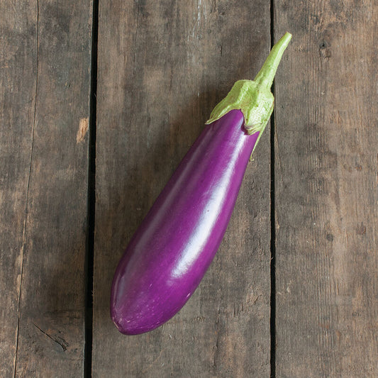 Aubergine ´Dancer´ F1