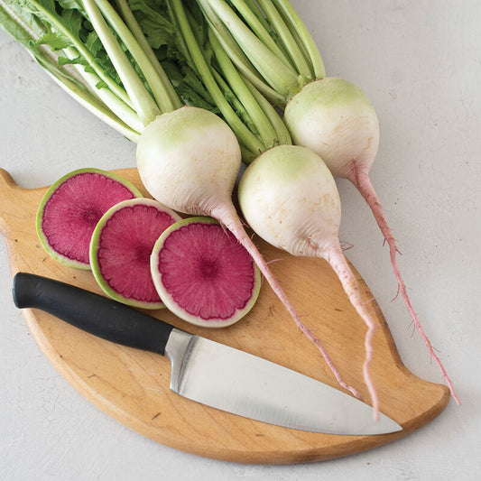 Rädisa ´Purple Heart´ F1