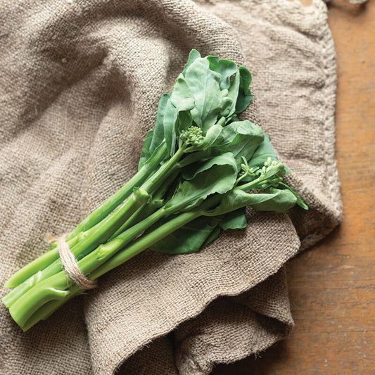 Broccoli ´Melody´ F1