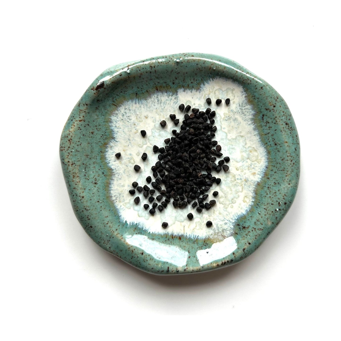 Kinesisk riddarsporre ´Hunky Dory Sky Blue´