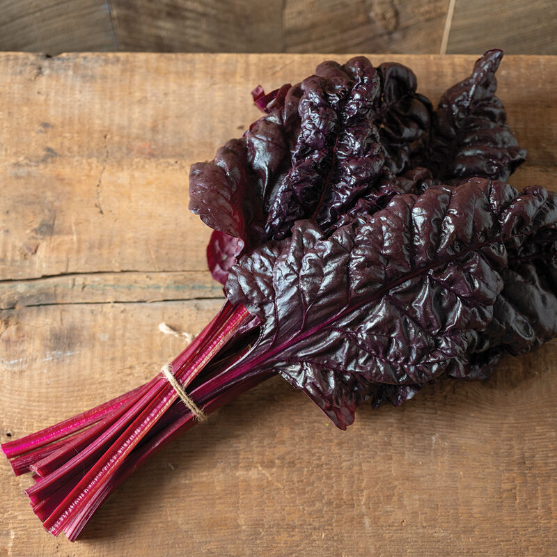 Mangold ´Firebird´ F1