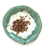 Violruta