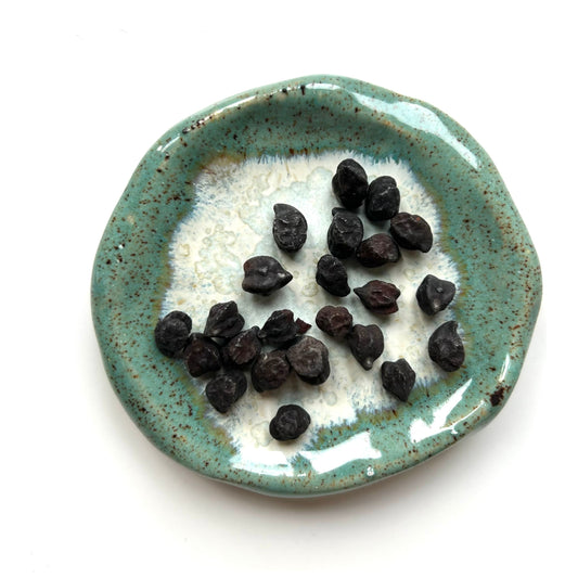 Svart kikärt ´Ceci Neri´