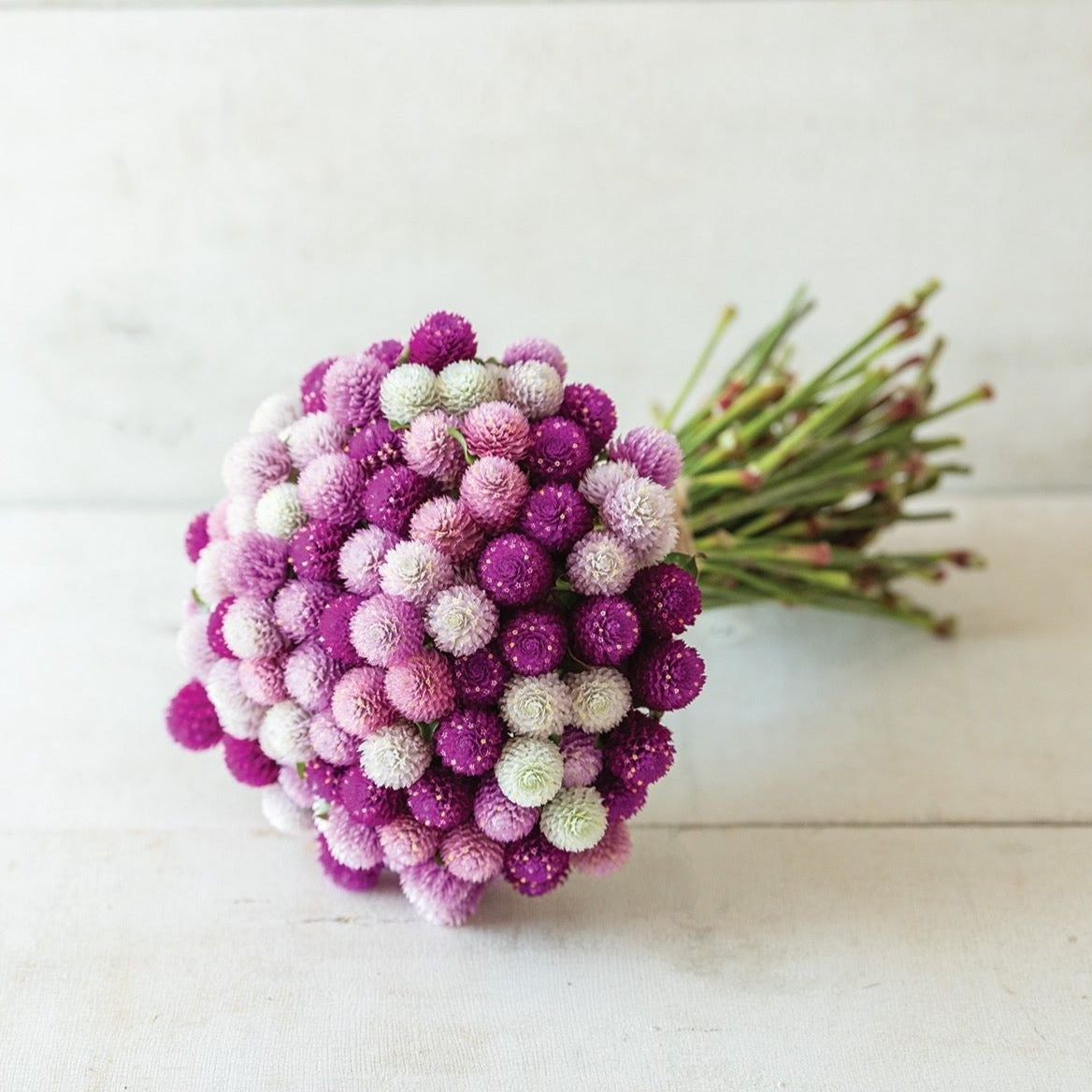 Klotamarant ´Qis Formula Mix´