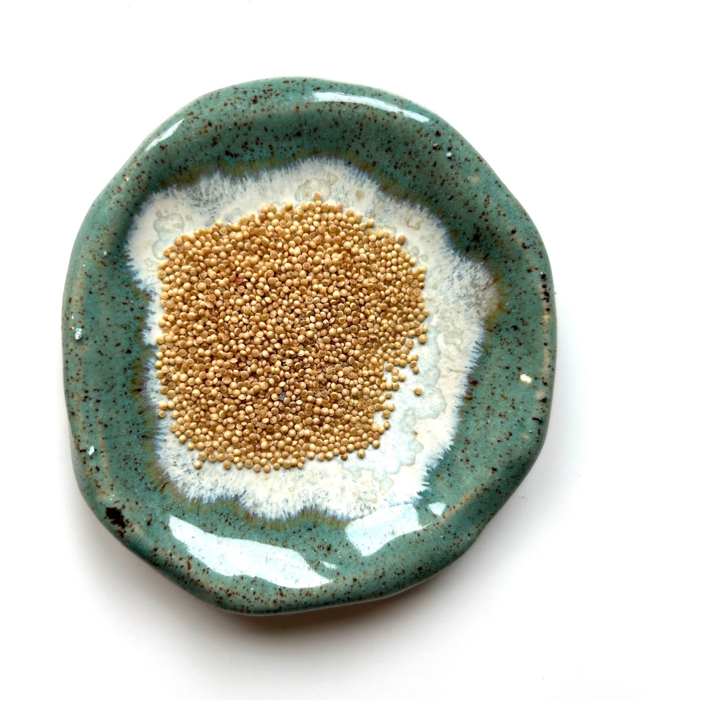 Amarant ´Coral Fountain´