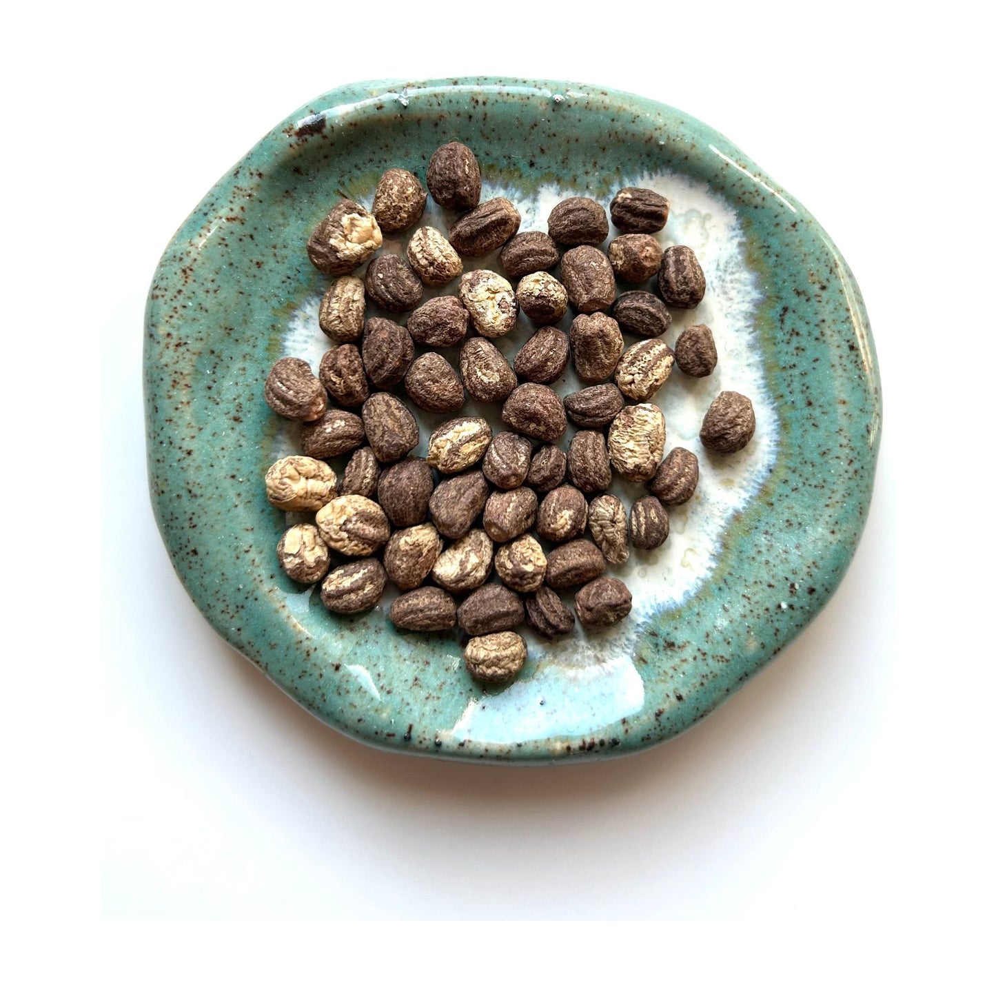 Buskkrasse ´Peach Melba Superior´