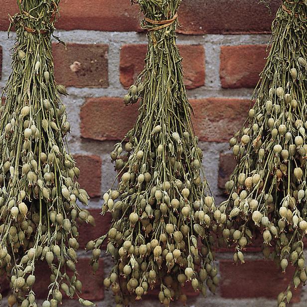 Sandglim ´Balletje Balletje´