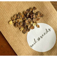 Stockros ´Chater´s White´