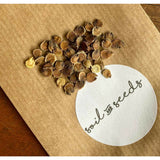 Stockros ´Chater´s White´