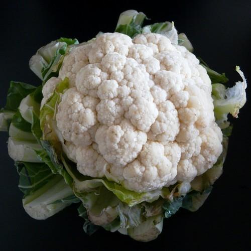 Blomkål ´All The Year Around´