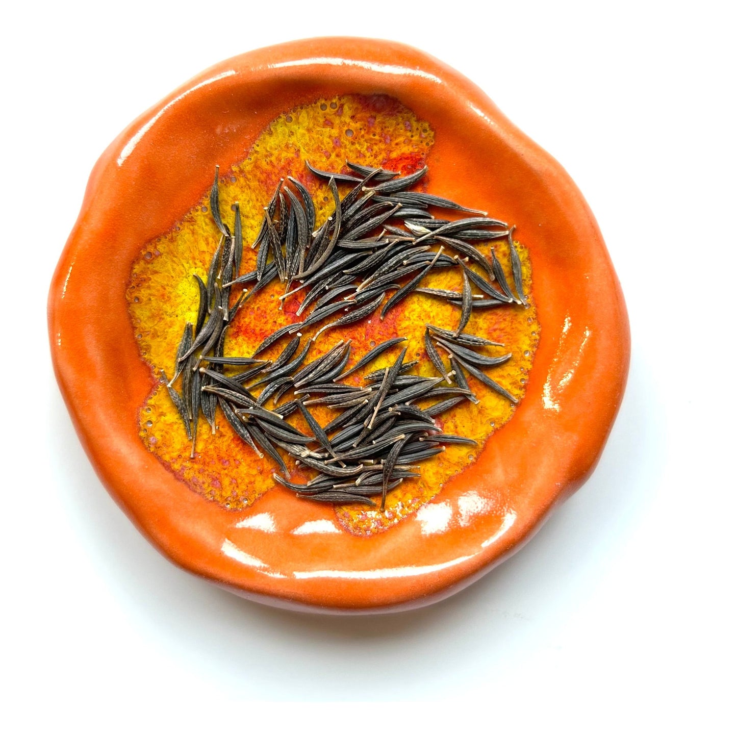 Rosenskära ´Apricotta´