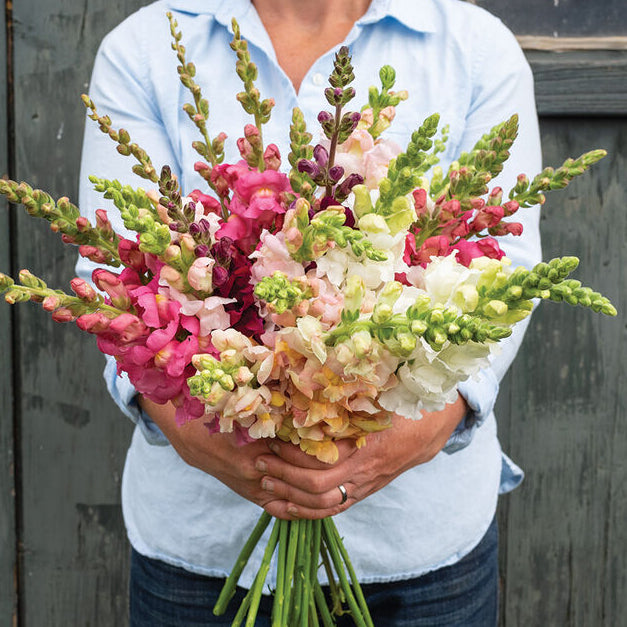 Lejongap ´Costa Mix´ F1