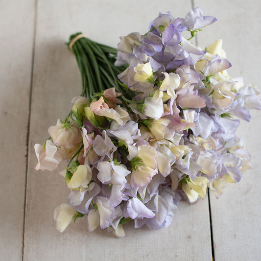 Luktärt ´Spencer Old Times´