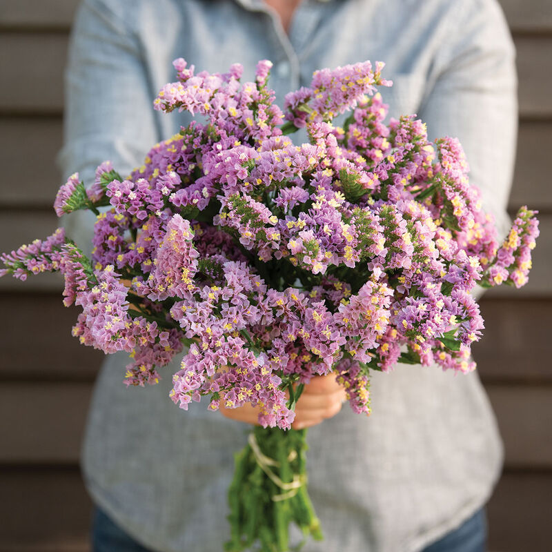 Risp ´Forever Happy´