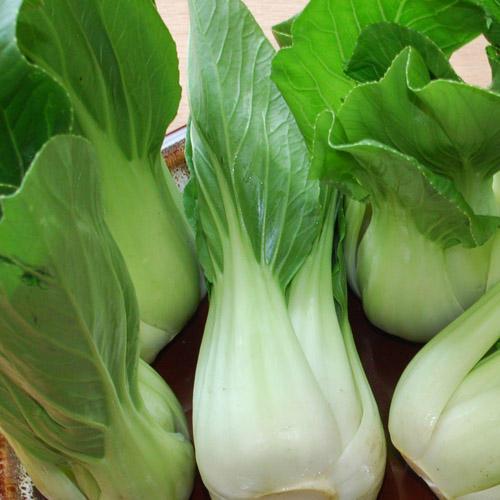 Pak choi