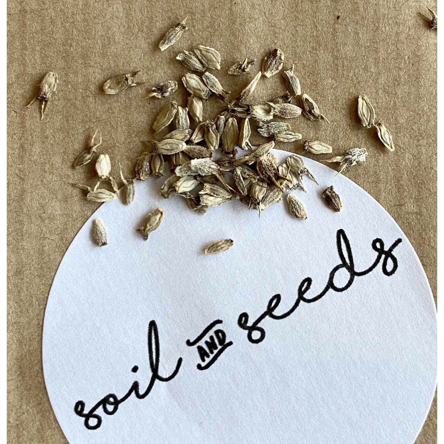 Rysk Martorn ´Blue Glitter´