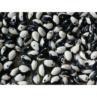 Spritböna ´Yin Yang´