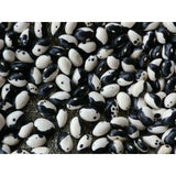 Spritböna ´Yin Yang´