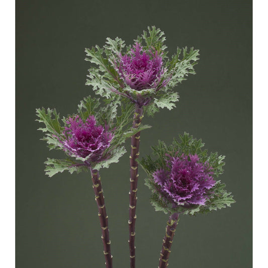 Prydnadskål ´Feather Queen´